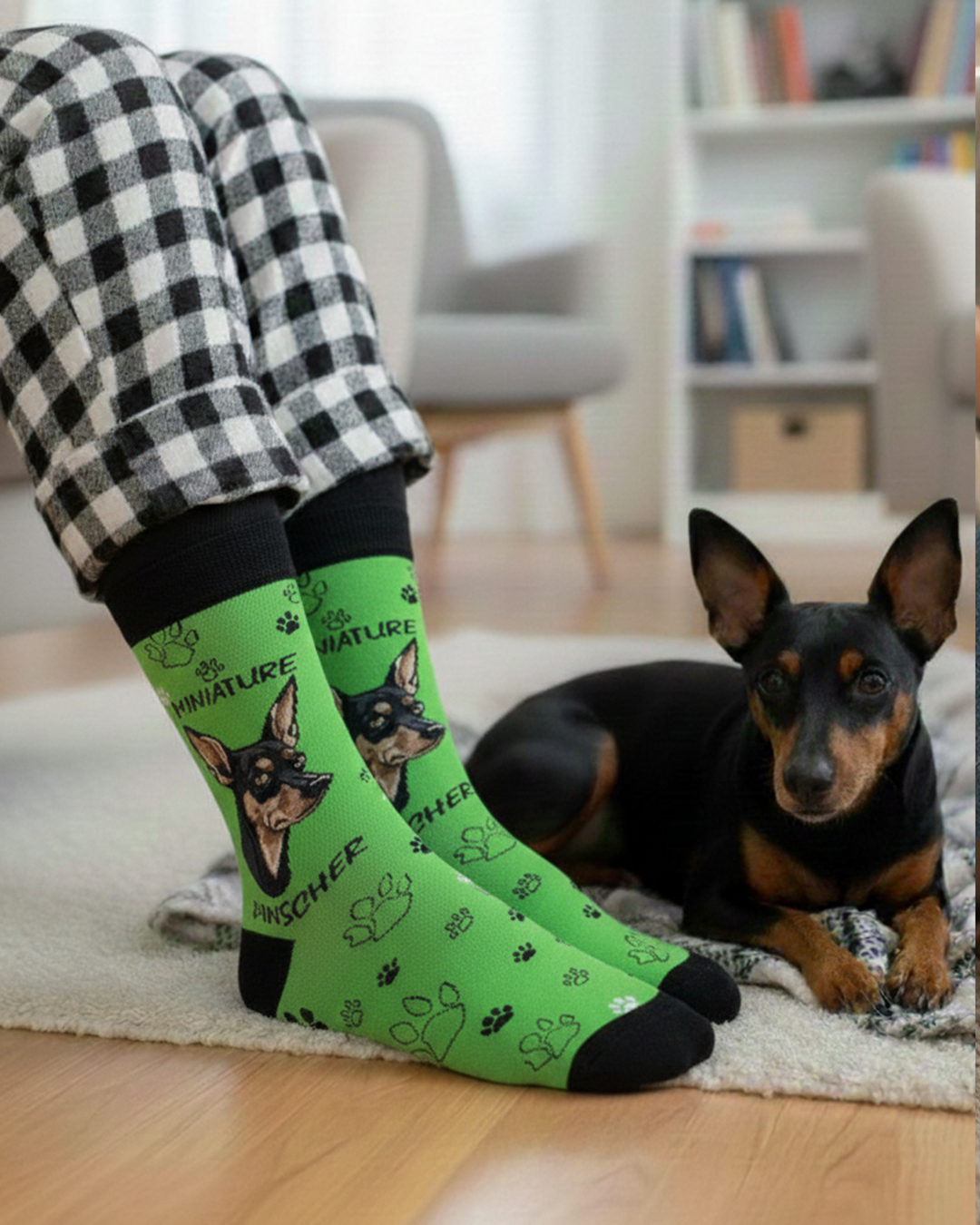 Miniature Pinscher Socks Small Dog Series